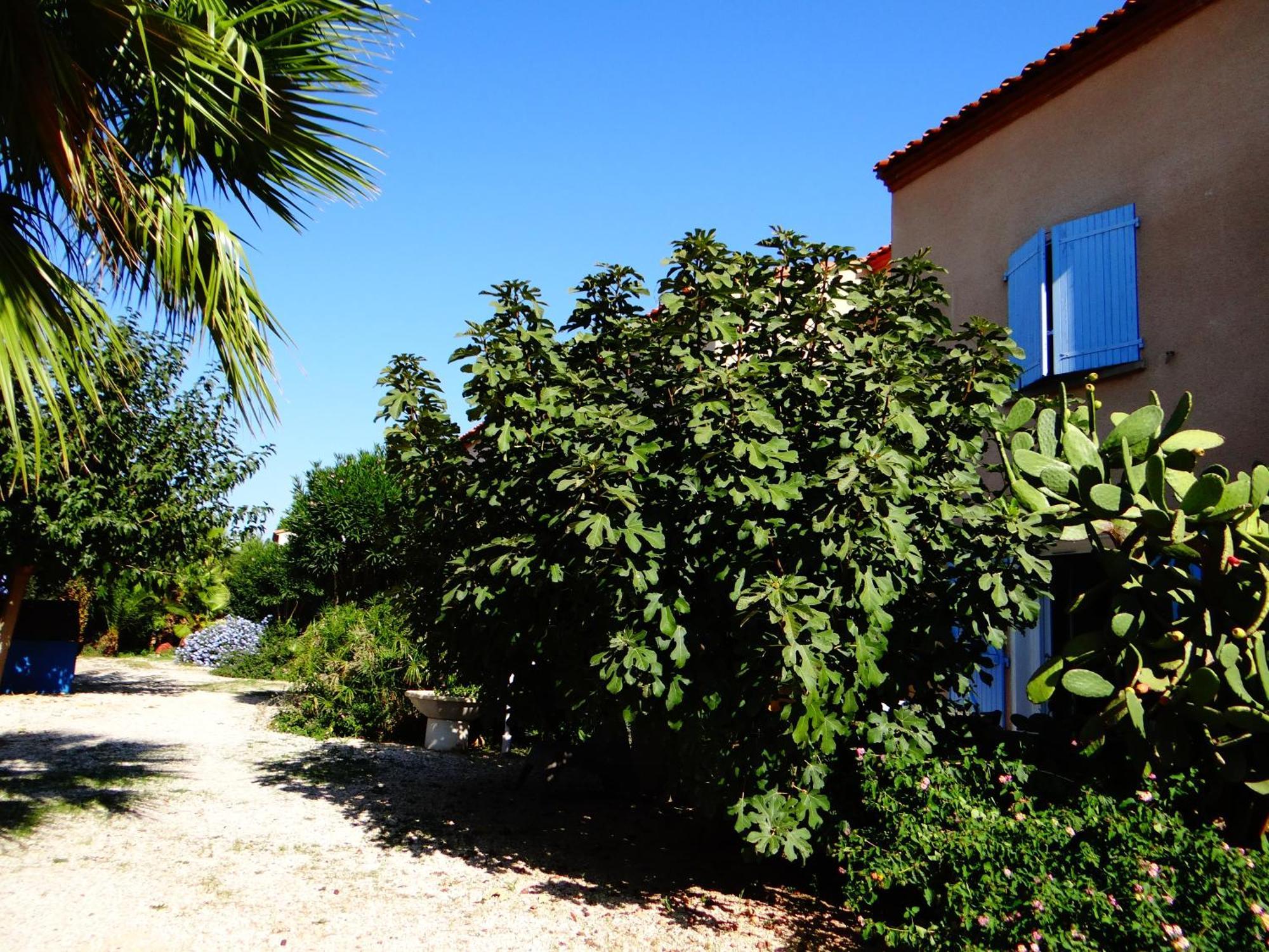 Residence L'Orangeraie-2-Claira 66530 Exterior photo